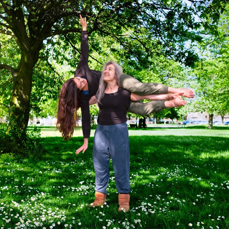 Swings and Roundabouts Theatre Hullabaloo